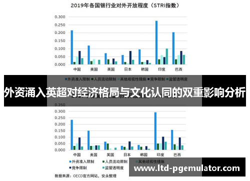 外资涌入英超对经济格局与文化认同的双重影响分析