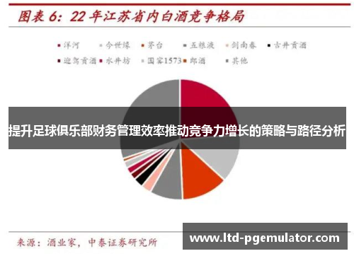提升足球俱乐部财务管理效率推动竞争力增长的策略与路径分析