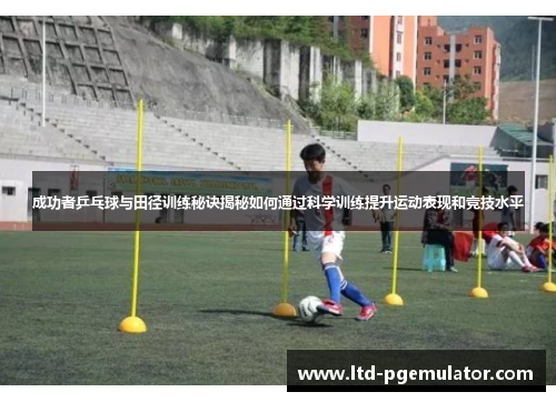 成功者乒乓球与田径训练秘诀揭秘如何通过科学训练提升运动表现和竞技水平