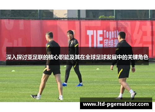 深入探讨亚足联的核心职能及其在全球足球发展中的关键角色
