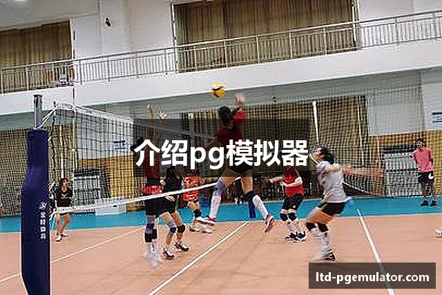 介绍pg模拟器